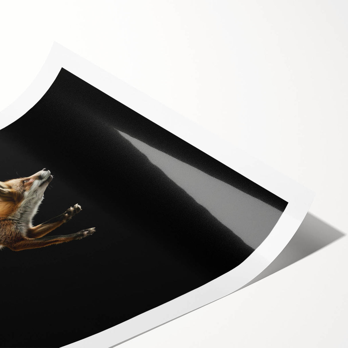 Vibrant rolled print showcasing a whimsical fox design, perfect for animal lovers and nature-themed decor, elegantly packaged in a protective cardboard tube.