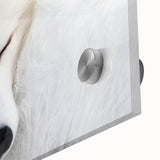 Close-up of a stunning fox design wall art piece, showcasing vibrant colors and intricate details, ideal for animal lovers and home decor enthusiasts. This acrylic glass artwork adds a touch of nature-inspired elegance to any room's ambiance.