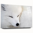 Acrylic wall art featuring a side view of a vibrant fox design, showcasing intricate details and colors, ideal for animal lovers and modern decor.