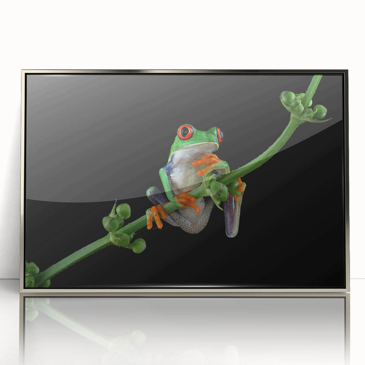 Framed wall art featuring a detailed illustration of a vibrant green frog, set against a sleek silver frame, perfect for nature-themed decor. Ideal for wildlife enthusiasts and modern art lovers.