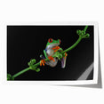 Vibrant wall art print featuring a colorful frog design, showcasing detailed illustrations of tropical foliage, perfect for animal lovers and nature enthusiasts.