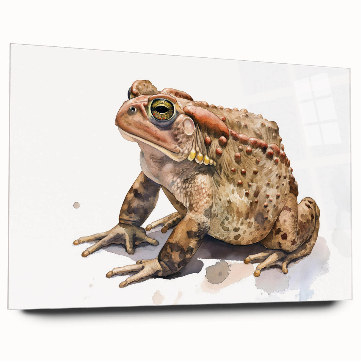 Frog-themed wall art design showcased in acrylic glass, featuring vibrant colors and a sleek side view, perfect for adding a whimsical touch to home decor.