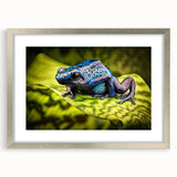 Framed wall art featuring a vibrant frog design from the "Animals a Wild Life" collection, showcasing intricate details and a silver frame with matting for an elegant presentation. Ideal for nature enthusiasts and home decor lovers.