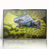 Framed wall art featuring a vibrant frog design in a silver-acrylic frame, showcasing intricate details and vivid colors, perfect for nature lovers and home decor enthusiasts.