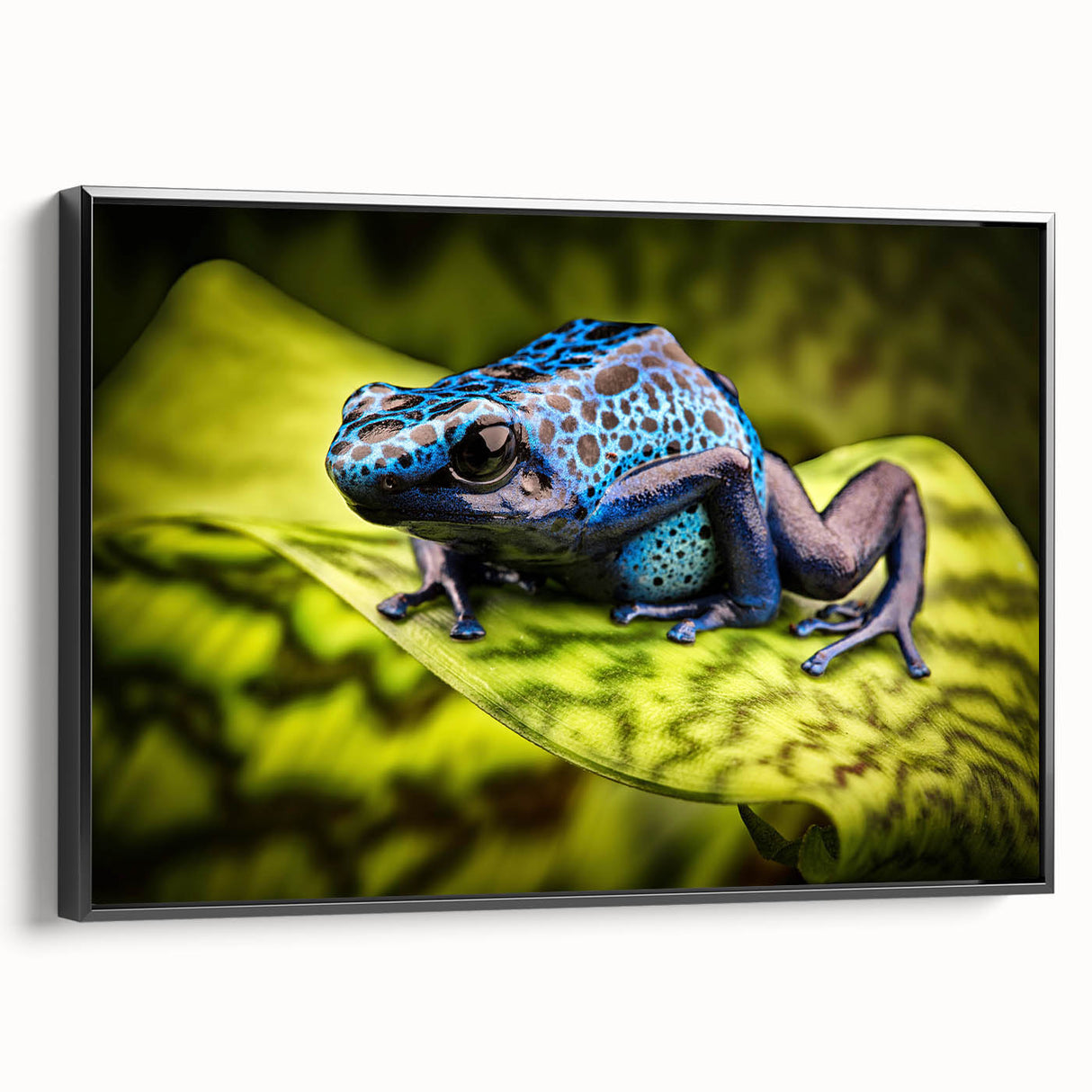 Framed wall art featuring a vibrant frog design in a black frame, showcasing intricate details and colors, perfect for nature and wildlife enthusiasts.