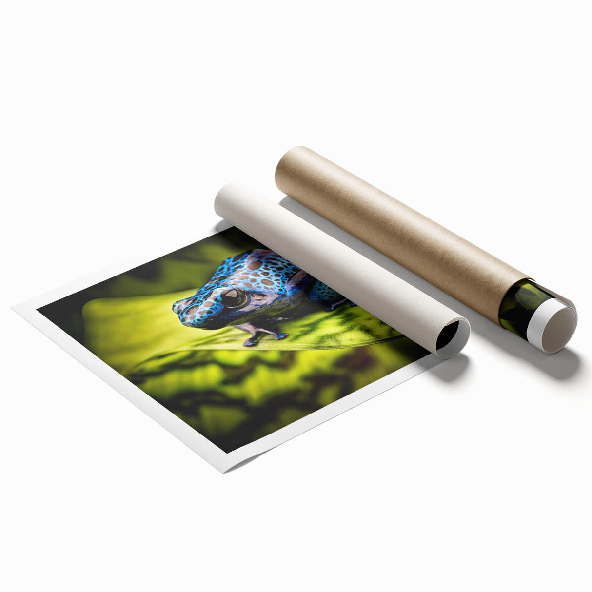 Vibrant wall art featuring a whimsical frog design, perfect for animal lovers, printed on high-quality paper, showcasing intricate details and bold colors.