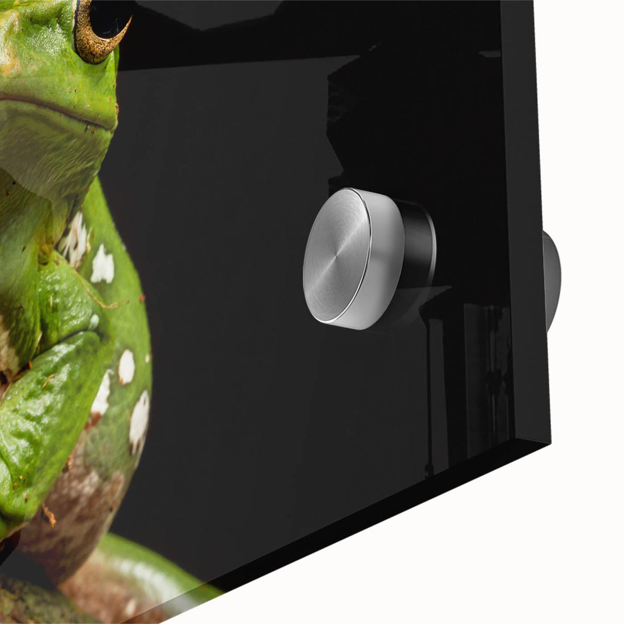 Close-up view of vibrant frog wall art design on acrylic glass, showcasing intricate details and vivid colors, perfect for nature-themed decor in any setting.