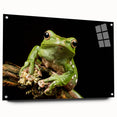 Colorful acrylic glass wall art featuring a whimsical frog design, showcasing vibrant greens and blues, elegantly displayed with pins for easy mounting in a playful, nature-themed decor setting.
