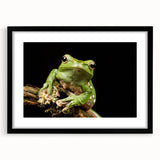 Framed wall art showcasing a vibrant frog design in a black frame with a white mat. Ideal for nature enthusiasts, this striking piece adds a pop of color to any room.