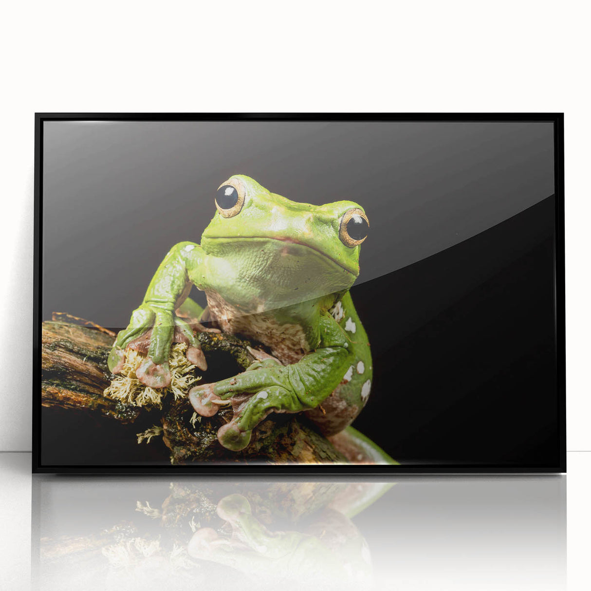 Framed acrylic wall art featuring a vibrant frog design in a black frame, showcasing colorful details and textures, perfect for animal-themed decor.