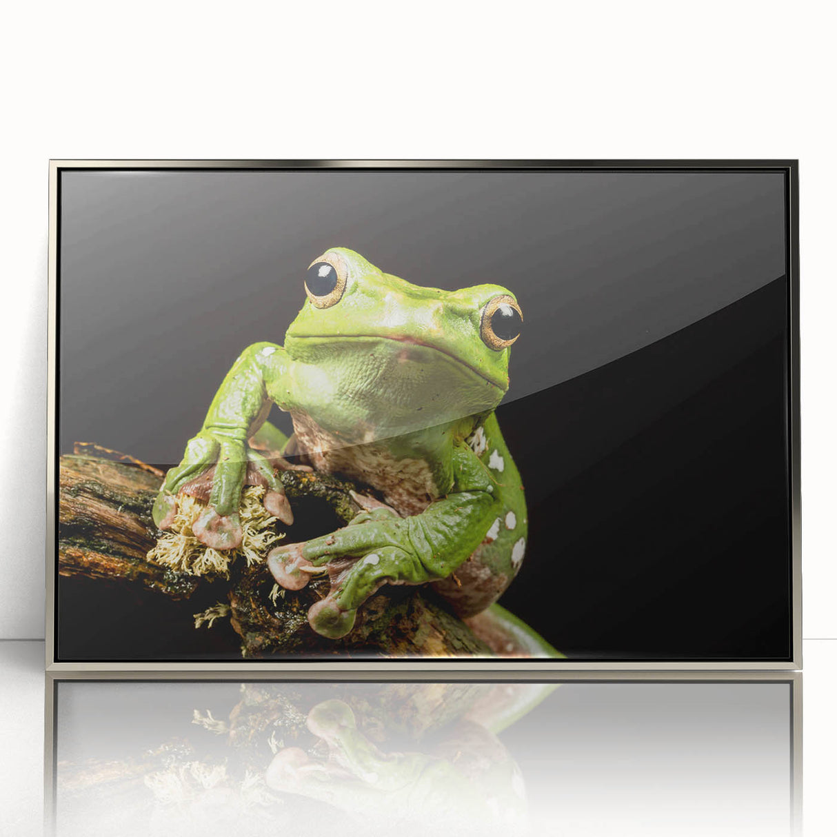 Framed wall art featuring a vibrant frog design in a silver frame, showcasing intricate details and colors. Ideal for nature enthusiasts and home decor.