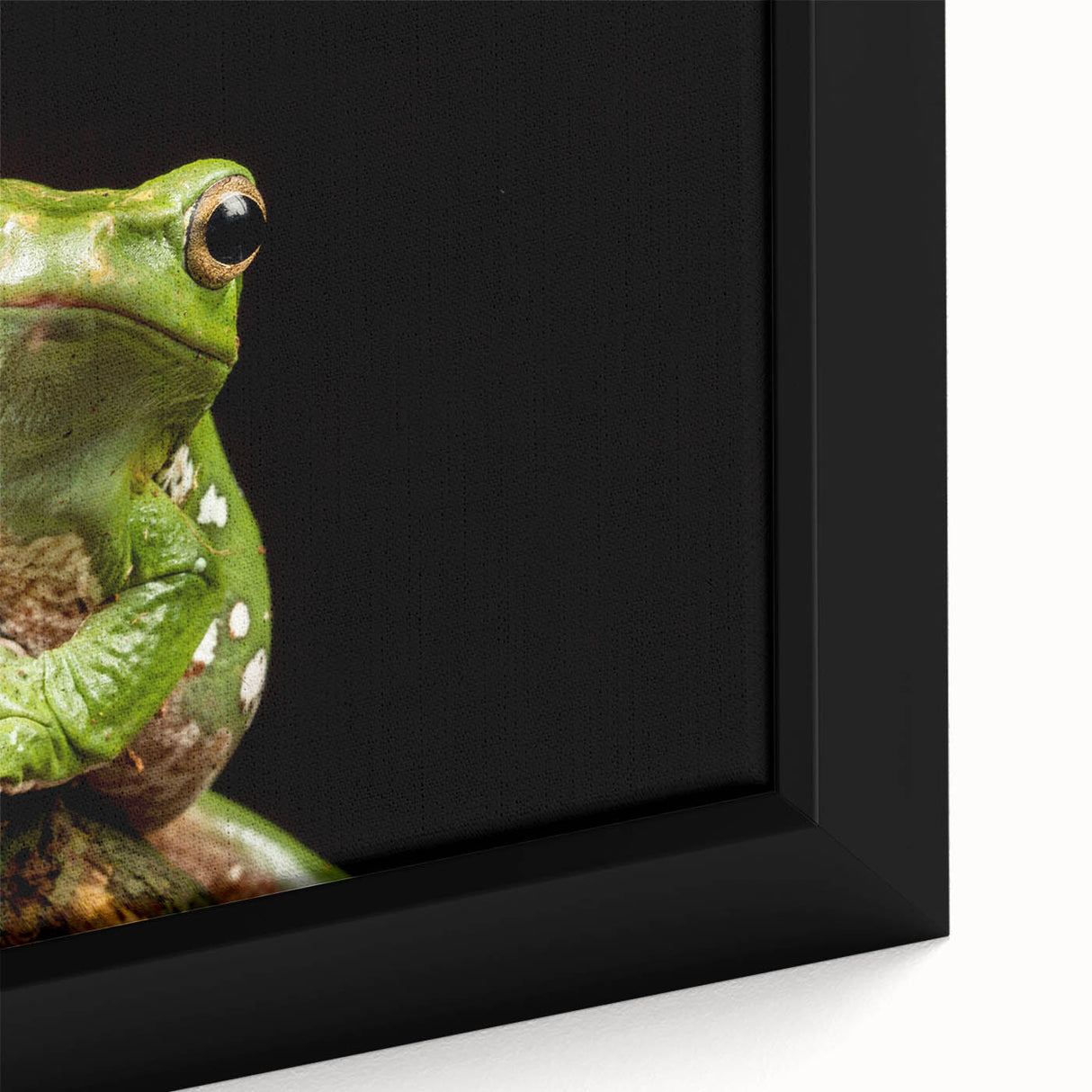 Close-up of a vibrant, framed canvas wall art piece featuring a colorful frog design, showcasing intricate details and textures ideal for wildlife decor enthusiasts.