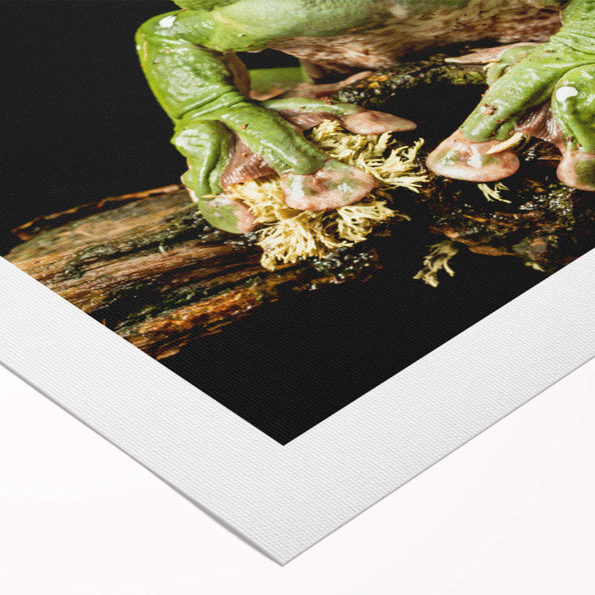 Vibrant rolled canvas art featuring a colorful frog design, showcasing intricate details and a textured finish, perfect for nature-themed decor.