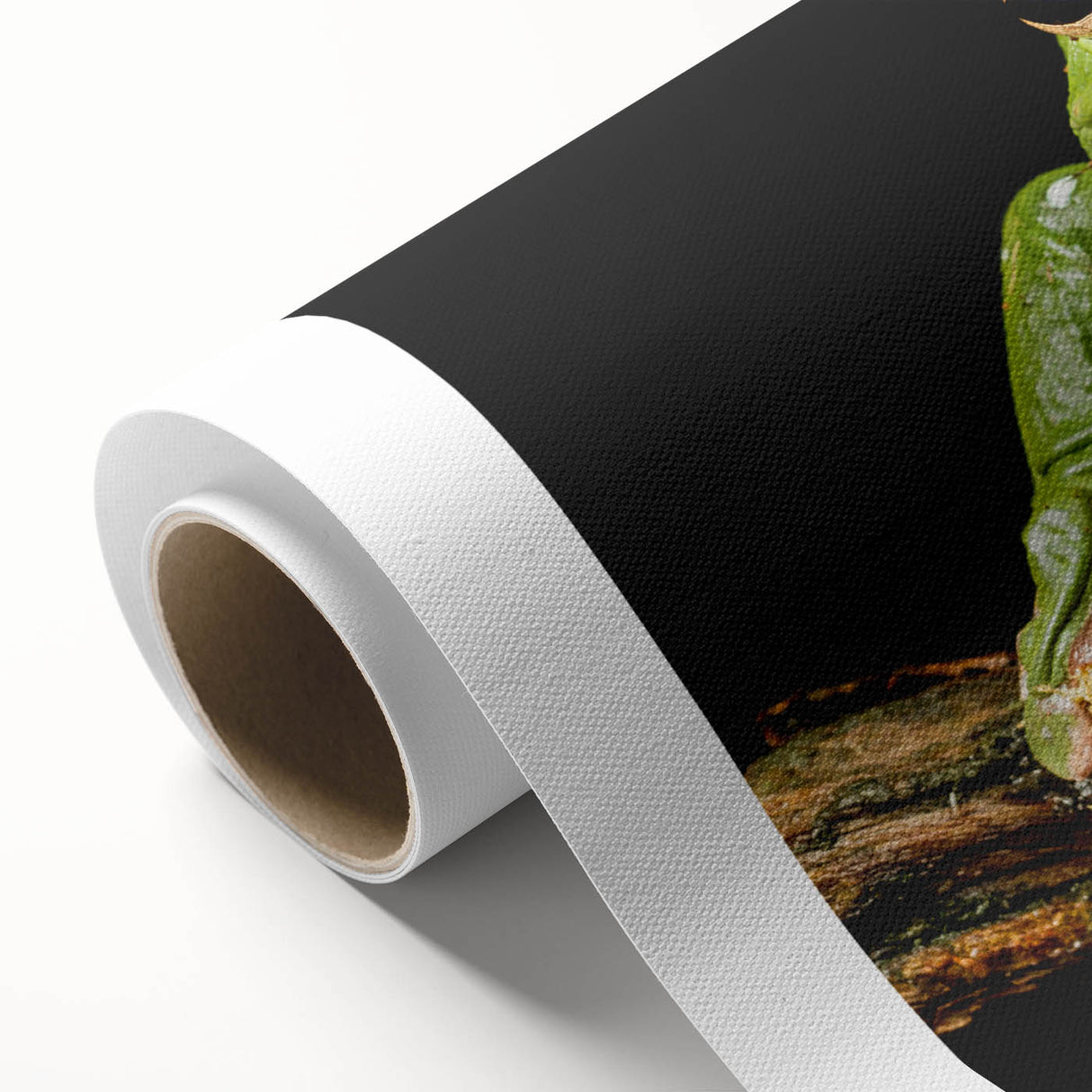 Vibrant rolled canvas featuring a whimsical frog design from a wildlife art collection, showcasing intricate details and vivid colors, perfect for nature lovers’ decor.