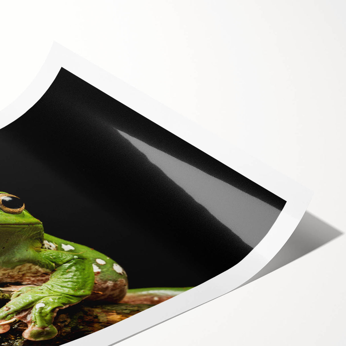 Vibrant frog wall art print showcasing intricate wildlife design in bright greens and yellows, rolled and ready for framing, perfect for nature enthusiasts.