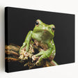 Colorful frog wall art design on stretched canvas, showcasing vibrant greens and yellows, perfect for nature lovers. Ideal for home decor or gifting.