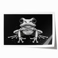Vibrant wall art print featuring a colorful frog design, showcasing intricate details and textures, perfect for animal lovers and home decor enthusiasts.