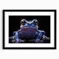 Framed wall art featuring a vibrant frog design in black matting, showcasing detailed colors and textures, perfect for nature lovers and home decor enthusiasts.