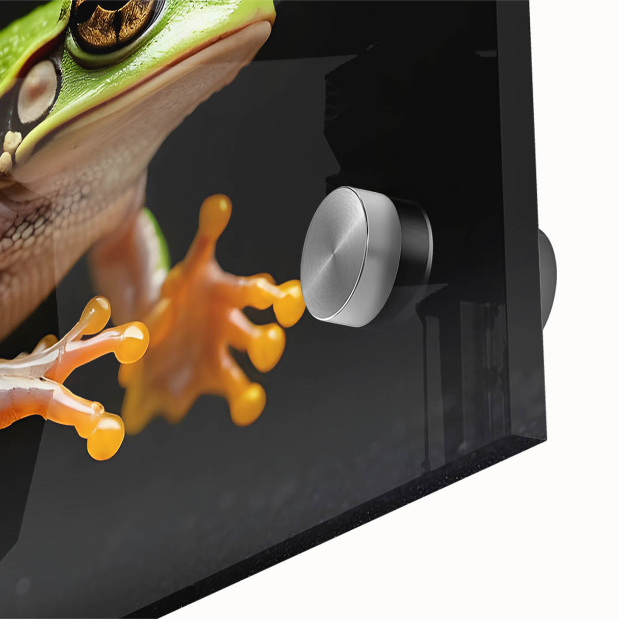 Close-up of a vibrant acrylic glass wall art piece showcasing a colorful frog design, perfect for animal lovers and nature-themed decor, highlighting intricate details and vivid colors, ideal for enhancing any living space or office.