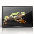 Framed acrylic wall art featuring a vibrant frog design, showcasing intricate colors and details, set in a sleek black frame for modern decor enhancement.
