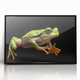 Framed acrylic wall art featuring a vibrant frog design, showcasing intricate colors and details, set in a sleek black frame for modern decor enhancement.
