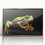 Framed wall art featuring a vibrant frog design in a wild life theme, set in an elegant gold frame, perfect for nature enthusiasts and home decor.