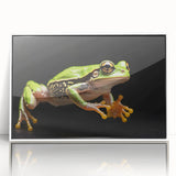 Framed wall art featuring a vibrant frog design, showcasing intricate details and bright colors, set against a white background. Ideal for wildlife decor enthusiasts.