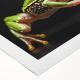 Vibrant rolled canvas wall art featuring a detailed frog design, showcasing vivid green and yellow colors, ideal for nature-themed decor in homes or offices.