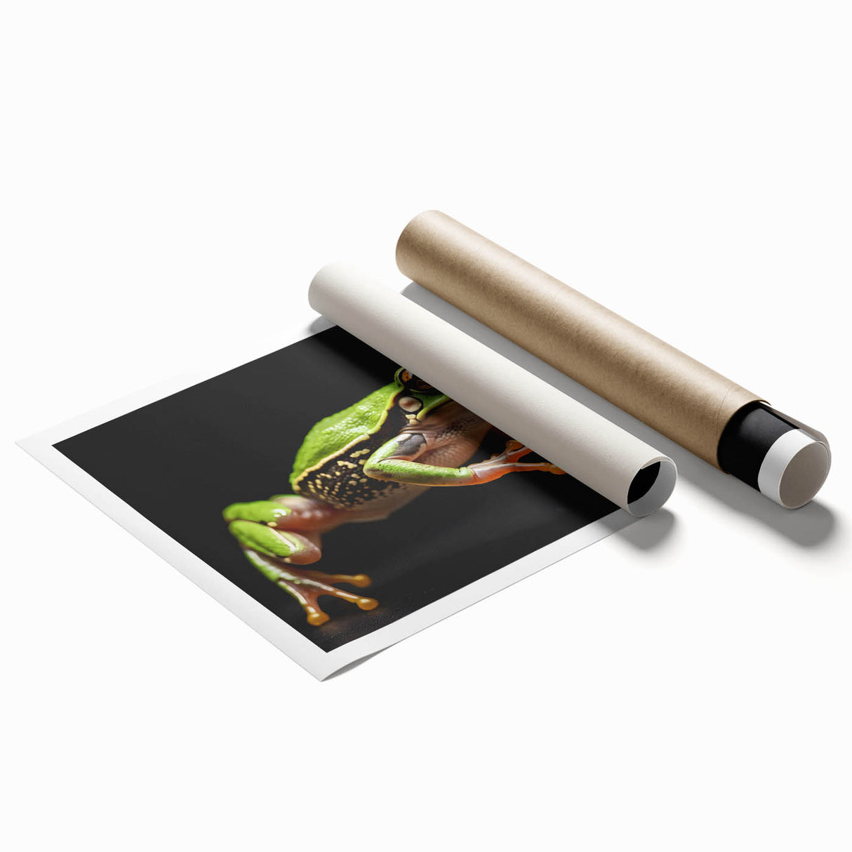 Vibrant frog design wall art print showcasing a colorful, detailed illustration of a frog, ideal for nature enthusiasts and home decor, rolled for easy display.
