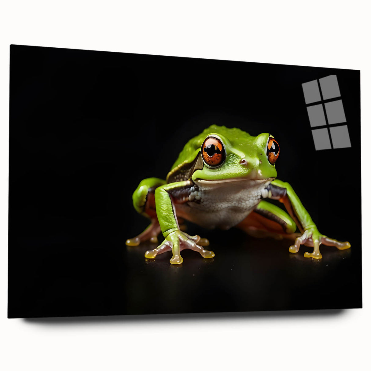 Acrylic wall art featuring a vibrant frog design in a side view, highlighting intricate details and bold colors, perfect for nature-themed decor and wildlife enthusiasts.