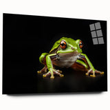 Acrylic wall art featuring a vibrant frog design in a side view, highlighting intricate details and bold colors, perfect for nature-themed decor and wildlife enthusiasts.
