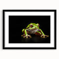 Framed wall art collection featuring a vibrant frog design, set against a sleek black mat, perfect for enhancing nature-themed decor in any space.