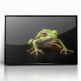 Framed wall art featuring a vibrant frog design, showcasing intricate details and a sleek black frame, ideal for animal lovers and nature-themed decor.
