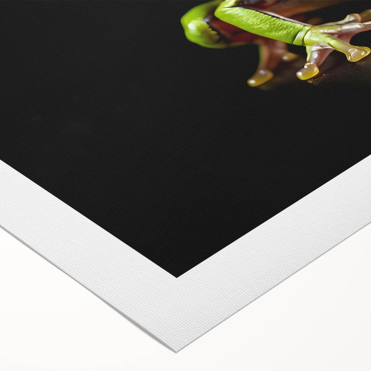 Colorful rolled canvas showcasing a vibrant frog design as part of a wild life art collection, featuring intricate details and textures, ideal for nature-themed decor.