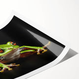 Vibrant frog design wall art print showcasing intricate details and vivid colors, rolled and ready for display, perfect for animal lovers and home decor enthusiasts.