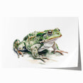 Vibrant frog-themed wall art print showcasing detailed illustrations of frogs in a natural setting, perfect for wildlife enthusiasts and home decor.