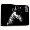Acrylic glass wall art featuring a vibrant side view of a giraffe design, showcasing intricate colors and patterns, ideal for animal lovers and home decor enthusiasts.