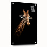 Side view of a vibrant giraffe design wall art piece made from acrylic glass, showcasing intricate details and colors, perfect for wildlife-themed decor.