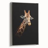 Framed canvas wall art showcasing a side view of a majestic giraffe against a silver background, perfect for animal lovers and modern decor enthusiasts.