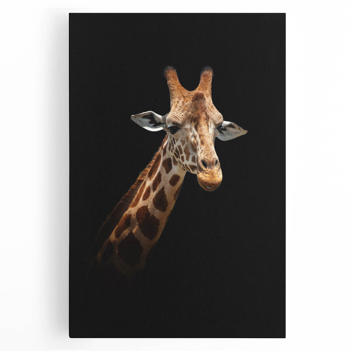 Vibrant wall art featuring a front view of a giraffe against a natural landscape, showcasing intricate details and rich colors, perfect for animal lovers and home decor.