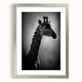 Giraffe wall art design in a sleek silver frame, showcasing a stunning wildlife illustration with a mat, perfect for enhancing home decor. Ideal for animal lovers.