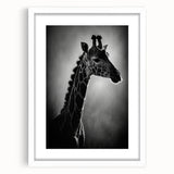 Giraffe-themed wall art collection showcasing a beautifully designed frame with a white mat, perfect for adding a touch of wildlife elegance to home decor.