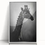 Framed acrylic wall art showcasing a vibrant giraffe design, set against a clean white background, perfect for enhancing modern home decor. Ideal for animal lovers and wildlife enthusiasts.