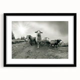 Black-framed wall art featuring a whimsical goat design, part of the "Animals A Wild Life" collection, showcasing vibrant colors and intricate details, perfect for animal lovers and home decor enthusiasts.