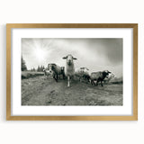 Framed wall art featuring a goat design from the "Animals: A Wild Life" collection, with a gold mat and frame, showcasing intricate details and vibrant colors. Perfect for adding a touch of nature-inspired elegance to any room.