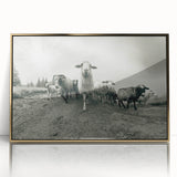 Framed wall art featuring a gold-accented goat design, showcasing a modern aesthetic suitable for animal lovers and home decor enthusiasts. The acrylic frame enhances the artwork's vibrant colors, making it a striking focal point for any room. Perfect for adding a touch of wildlife charm to your space.