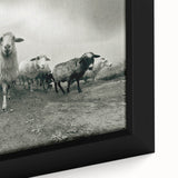 Close-up of a framed canvas wall art piece showcasing a vibrant goat design, featuring intricate details and earthy colors, perfect for animal lovers and home decor.