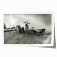 Goat-themed wall art print showcasing a detailed, colorful illustration of a goat in a natural setting, designed for animal lovers and modern decor enthusiasts. Ideal for home or office decoration, this rolled print adds a touch of wildlife charm to any space.