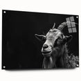 Acrylic glass wall art featuring a vibrant goat design from the "Animals: A Wild Life" collection, displayed in a side view with decorative pins for hanging. This piece adds a colorful touch to any space while celebrating wildlife artistry.