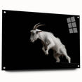 Acrylic glass wall art featuring a vibrant goat design from the "Animals of the Wild" collection, displayed from the side with decorative pins, perfect for animal lovers.